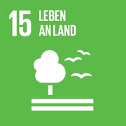 SDG 15. Leben an Land